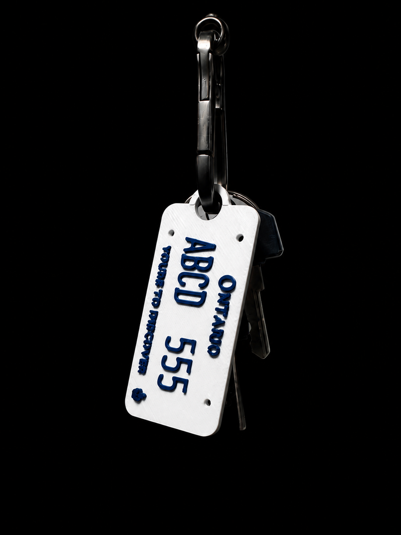Custom Ontario-Style Licence Plate Keychain